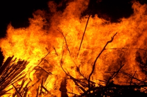 'Gli incendi si stanno avvicinando pericolosamente alle abitazioni e alle aziende'
