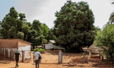LVIA da Cuneo alla Guinea Bissau: un legame associativo che cresce oltre i confini