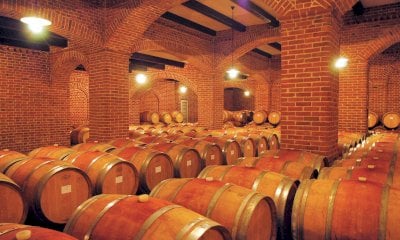 “La distillazione straordinaria può essere utile, ma serve un Piano di rilancio del vino piemontese”
