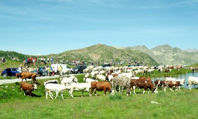 Una giornata da margaro con il consorzio valle Stura Experience e CuneoAlps