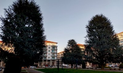Alberi a rischio, Linda Maggiori in piazza Europa per parlare di abbattimenti e attivismo