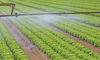 Coldiretti Cuneo: “Bene le misure su pozzi irrigui, disciplinari di produzione e deflusso ecologico”