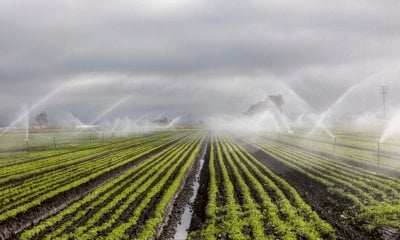 Salvi i pozzi per irrigazione agricola, Bongioanni: “Esentati dall’obbligo di ricondizionamento”