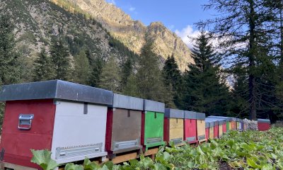 Biodiversità in festa: il 6 luglio i sapori e i saperi della montagna