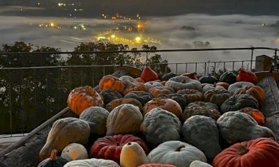 La Fiera della Zucca di Piozzo diventa nazionale: il riconoscimento a partire dall’edizione 2026
