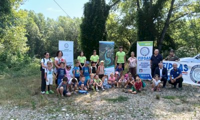 Liberate nella Stura 20mila piccole trote marmorate