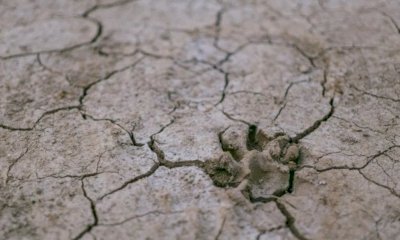 Clima, Coldiretti Cuneo: 