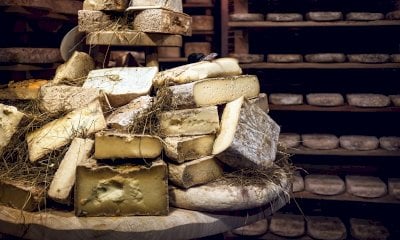 Le eccellenze agroalimentari tornano protagoniste per le “Cene a Km0” a Savigliano