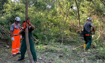Cherasco: la Protezione Civile interviene  per un’importante pulizia dell’alveo del Tanaro