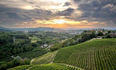 Un grande successo per il Festival “La collina sale sempre”: il 20 luglio la chiusura ad Alba