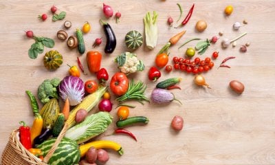 Coldiretti Cuneo: l'11 luglio un appuntamento per educare i più piccoli al cibo e affinare i cinque sensi