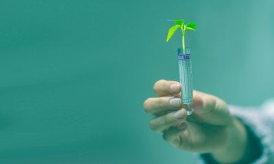 Tecniche di Evoluzione Assistita, Sacchetto: “La ricerca va nella direzione giusta, la politica?”
