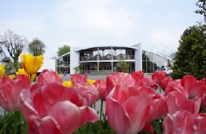 La logica della felicità