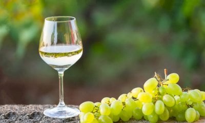 Il vino è in crisi, il Pd chiede il conto: “Pessima comunicazione sul nuovo codice della strada”