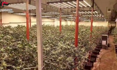 Operazione Djali, nuova retata contro i signori della droga: undici arresti nel Braidese