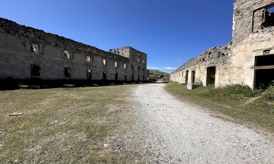 Weekend della biodiversità alpina a Vernante e Limone Piemonte