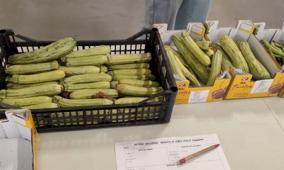 La provincia di Cuneo si conferma attenta alla lotta allo spreco alimentare e alla povertà