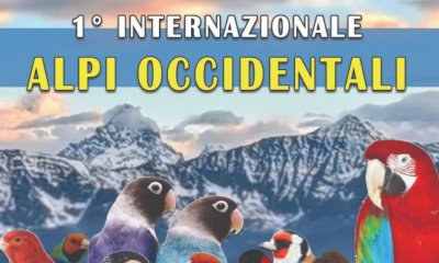 Quest’autunno arriva la “Prima Mostra Ornitologica Internazionale” a Farigliano