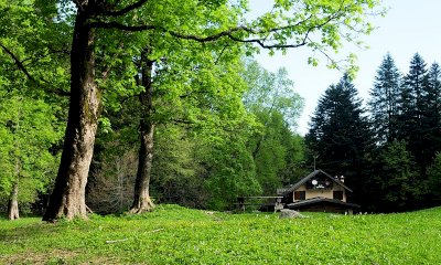 Torna “Momenti di Marittime”: escursioni estive con le Guide Parco nelle Aree Protette Alpi Marittime