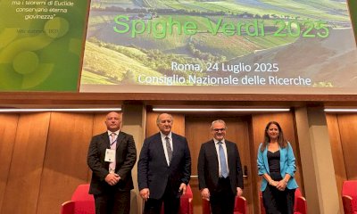 Piemonte, che conferma! È la regione con più 