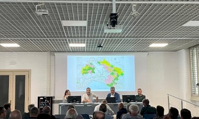 Presentato in Provincia il Piano strategico di eradicazione e controllo della PSA