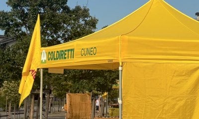 “Bene il riconoscimento della strategicità dell’agricoltura in risposta alle follie Ue”