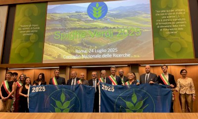 Anche quest’anno Alba ottiene la Spiga Verde 2025