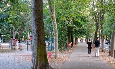 Viale Angeli riaperto fa ancora litigare: “Servono nuove misurazioni del traffico”