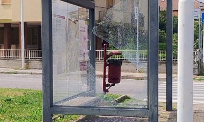 Ancora atti vandalici sulle pensiline dei bus a Madonna dell’Olmo
