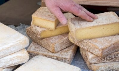 In attesa di Cheese a Bra si va alla scoperta della ricchezza casearia d’Italia
