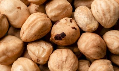 Nocciole, Coldiretti Cuneo: “Urgenti il sostegno alle imprese e la ricerca scientifica”
