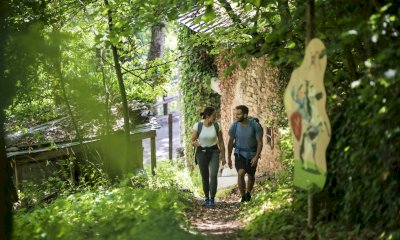 Alla scoperta del cuore verde del Parco fluviale: ad agosto quattro nuove esperienze