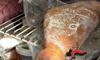 Controlli dei Carabinieri Forestali in bar e ristoranti della Granda: sequestrati 700 chili di alimenti