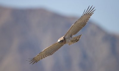 A Demonte il trentacinquesimo campo Migrans