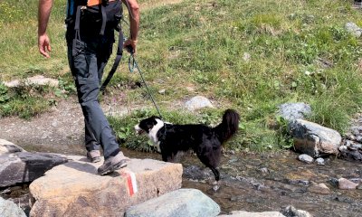 Nel Parco del Monviso con il proprio cane? Sì, a patto che sia tenuto al guinzaglio