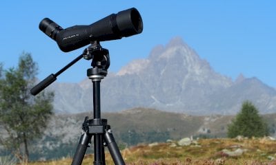 Un pomeriggio con il binocolo, per osservare il passaggio dei rapaci migratori