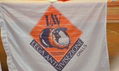 Cane gettato dalla finestra a Cuneo, la LAV: 