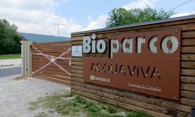 Notificato l'avviso di conclusione indagini alle persone sotto inchiesta per la morte di Anisa Murati