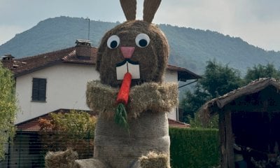 Un coniglio gigante di fieno annuncia la venticinquesima edizione di Ciüsa Duvarta