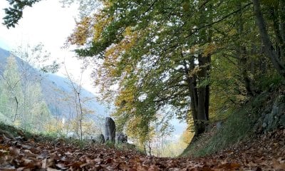 Un percorso ad anello a Entracque con letture in lingua d’òc