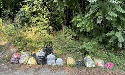 Alba, rifiuti abbandonati e conferimenti errati: individuati e multati i trasgressori