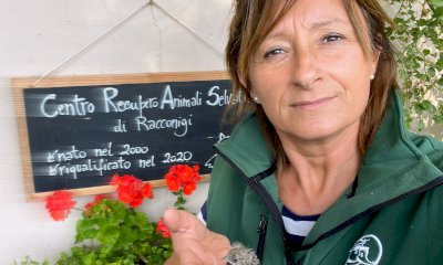 I ladri rubano le offerte per il Centro Cicogne a Racconigi