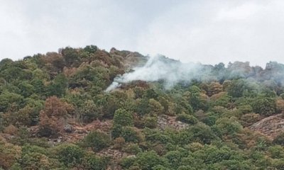 Dopo il focolaio di ieri, nuovamente tornata alla normalità la situazione sul Mombracco