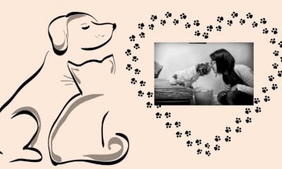 Una giornata con i nostri amici animali a Vignolo: c’è il memorial Veronica Bagnis