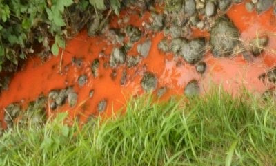 Acque rosse nel canale tra San Defendente di Cervasca e Cuneo