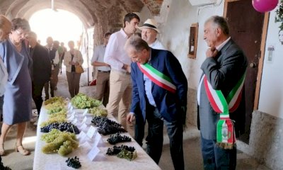 Tradizione e un nuovo percorso gastronomico: a Bastia Mondovì torna la “Mostra dell’uva e del vino”