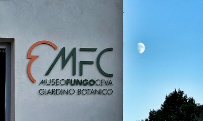 Approvato il progetto per ampliare l’allestimento del Museo del Fungo di Ceva