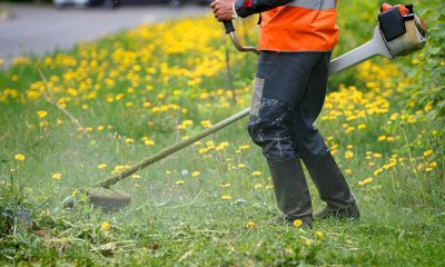 Ceva, aperte le candidature per il progetto di pubblica utilità