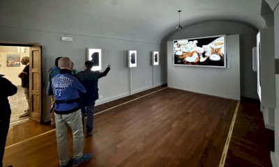 Il Museo del Fungo di Ceva ospiterà la seconda edizione della Scuola di Sostenibilità