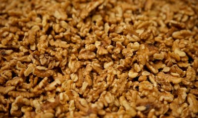 Villanova Solaro: cinque giorni di festa all’insegna della noce e dei frutti a guscio